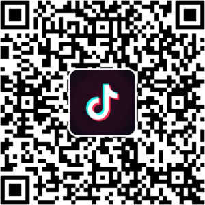 抖音小程序